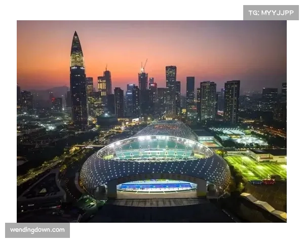 湾区魅力通过体育展示 三地联办体现一国两制优势 湾区魅力通过体育展示 三地联办体现一国两制优势